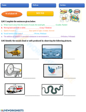Sound and Skeletal System Worksheet