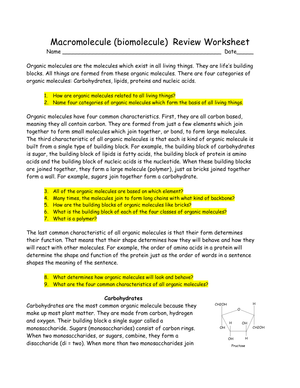 Macromolecule Biomolecule Review Worksheet