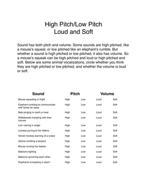 High and Low Pitch Worksheet