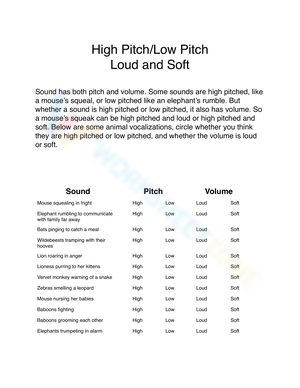 High and Low Pitch Worksheet