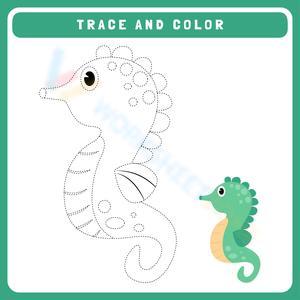 Fun Trace and Color Worksheet
