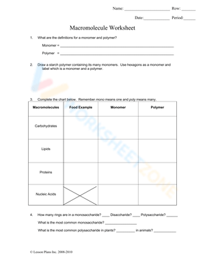 Macromolecule Worksheet for Biology Students