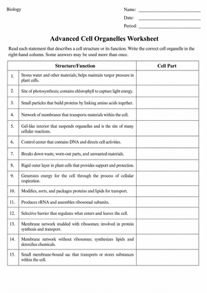 Advanced Cell Organelles Worksheet | Essential Biology Guide