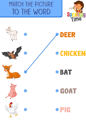 Match the Picture to the Word