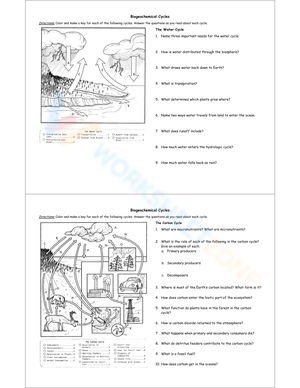 Free Printable Biogeochemical Cycles Worksheets