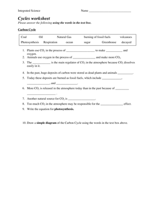 Explore Biogeochemical Cycles Worksheet