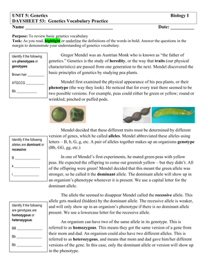 Genetics Vocabulary: Practice Worksheet for Biology