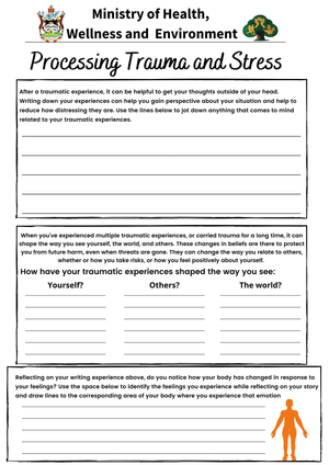 Processing Trauma and Stress Worksheet