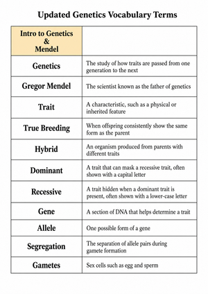 Essential Genetics Vocabulary Worksheet | Grade 7-10