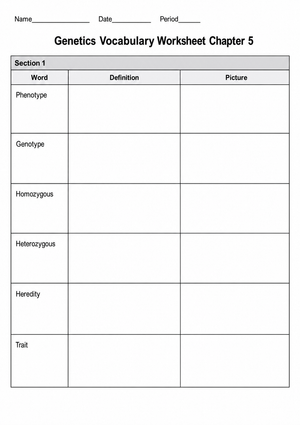 Grade 8 Genetics Vocabulary — Printable No-Prep Worksheet