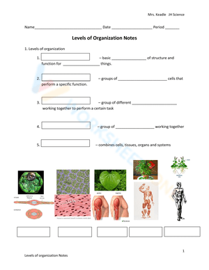 Levels of Organization Notes Worksheet