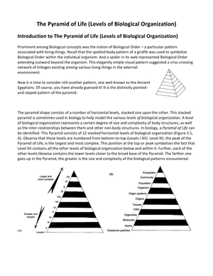 Essential Levels of Biological Organization Worksheet