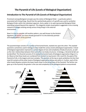 Levels of Biological Organization