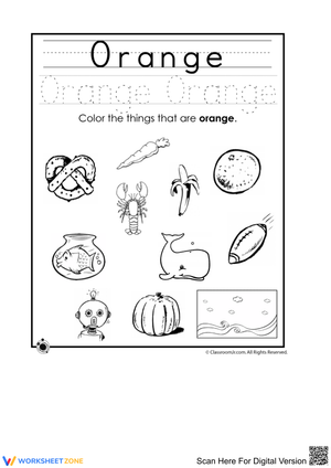 Identify the Color Orange: Fun Learning Worksheet