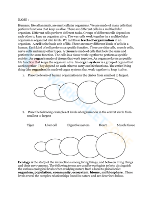 Levels of Organization Reading Worksheet