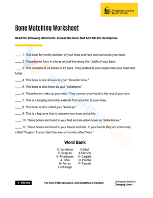 Anatomy: Bone Matching Worksheet for Students
