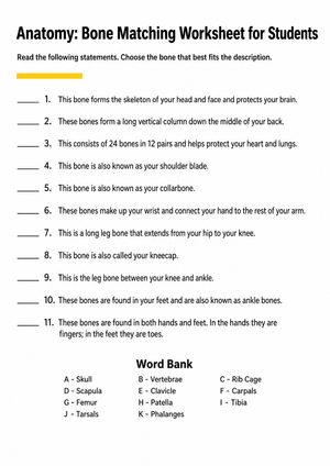Bone Matching Worksheet | Grade 6-9 Essential Anatomy