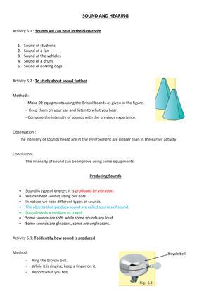 Sound and Hearing Essential Science Worksheet | Grade 4-7