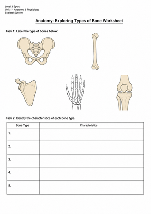 Printable Types of Bone Worksheet | Grade 9-12 Science