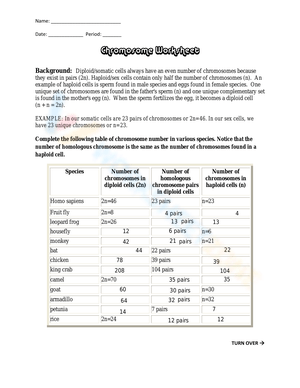 Genetics: Chromosome Worksheet for In-Depth Study