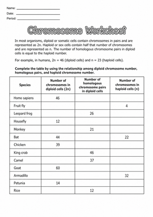 Essential Chromosome Worksheet | Grade 9-12 Biology