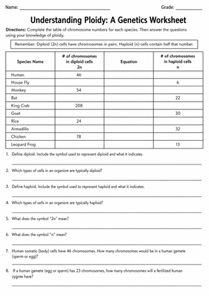 Ploidy Worksheet | Essential Grade 9-12 Biology