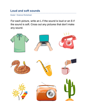 Identifying Loud and Soft Sounds – Science Worksheet