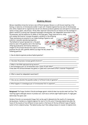 Modeling Meiosis: A Hands-On Learning Worksheet