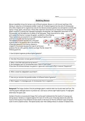 Modeling Meiosis: A Hands-On Learning Worksheet
