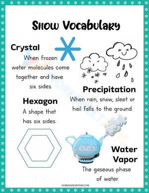 Winter Science: Snowflakes Activity Worksheet