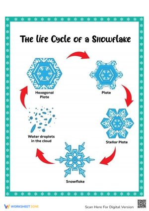 Life Cycle of a Snowflake with Fun Diagram