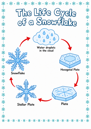 Snowflake Life Cycle Diagram | Grade 3 Essential