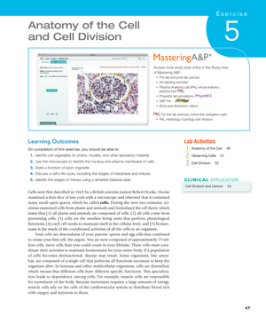 Anatomy of the Cell and Cell Division: Study Guide
