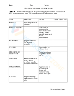 Cell Organelle: Structure and Function Worksheet