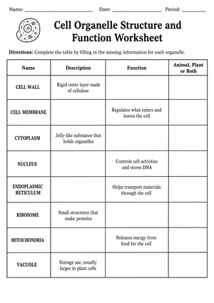 Grade 7 Cell Organelles — Printable No-Prep Worksheet