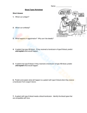 Understanding Blood Types: A Biology Worksheet