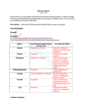Grade 11 Mouse Party Answers Worksheets 2024
