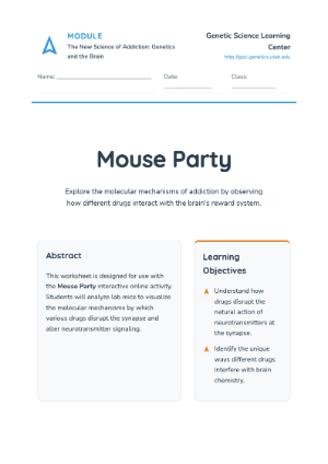 Understanding Synapses and Drugs – Mouse Party