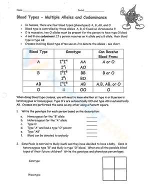 Grade 10 Codominance Blood Types Worksheets 2024