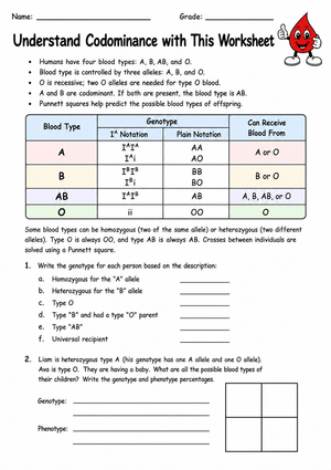 Codominance & Blood Types Worksheet | Grade 9 Printable
