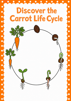 Printable Carrot Life Cycle Worksheet | Grade 3 Science