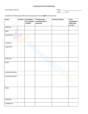 Grade 10 Cranial Nerves Worksheets 2024