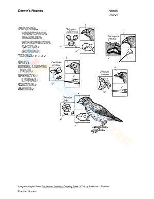 Studying Darwin's Finches