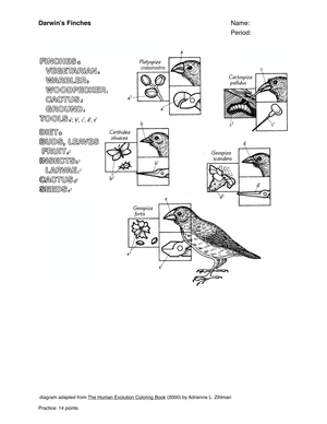 Studying Darwin's Finches