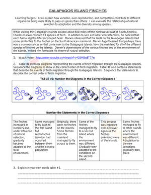 Exploring Darwin's Finches