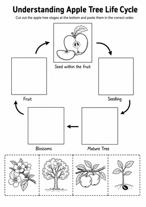 Understanding Apple Tree Life Cycle