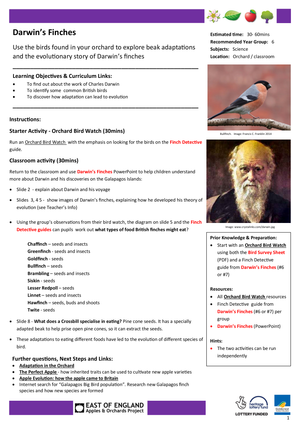 Exploring Darwin's Finches Evolution