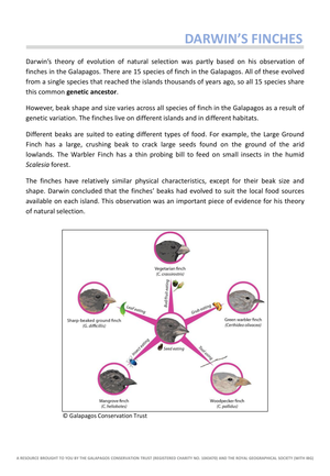 Darwin's Finches Worksheet - Evolution Study