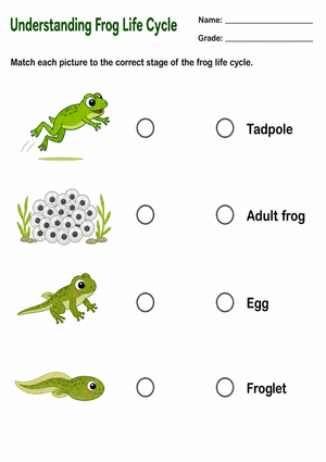 Frog Life Cycle Worksheet | Grade 2 Printable