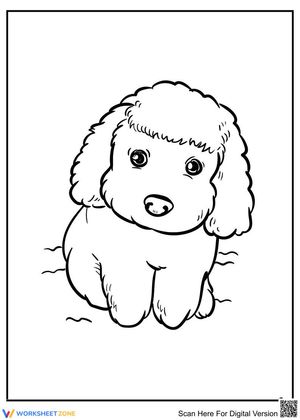 Character Art Worksheet